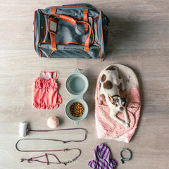 Collection image for: Pet Supplies