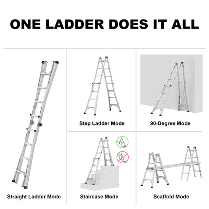23440259