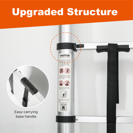 23440081
